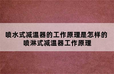 喷水式减温器的工作原理是怎样的 喷淋式减温器工作原理